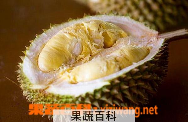 果蔬百科榴莲