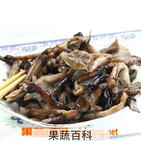 榛蘑菇