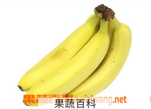 果蔬百科香蕉