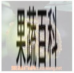 果蔬百科柑橘溃疡病