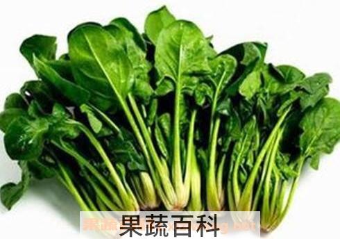 春天吃什么菜能降火