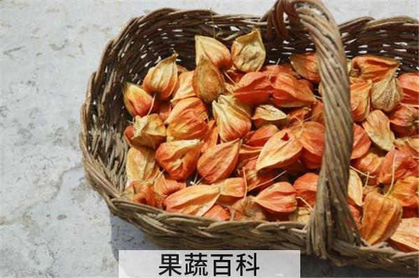 姑娘果一天吃几个最好 姑娘果的产地在什么地方