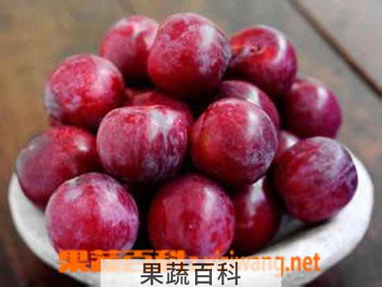 果蔬百科李子的营养价值