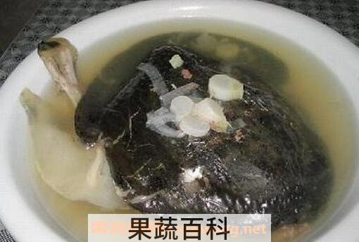 甲鱼汤的功效与作用
