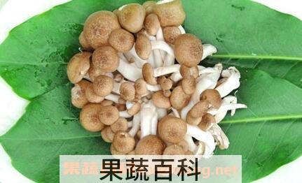蟹味菇