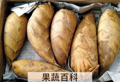 冬笋是什么 吃冬笋的好处有哪些
