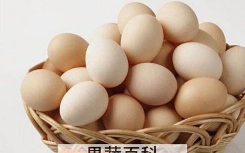 鸡蛋的好处和营养价值 鸡蛋的营养与好处