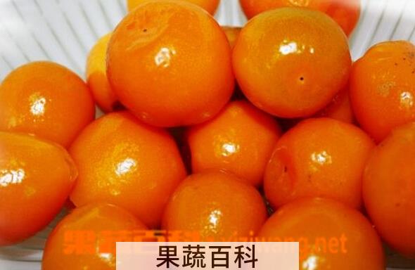 果蔬百科咸柑橘