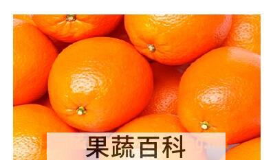 果蔬百科柑橘
