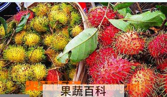 果蔬百科水果红毛丹
