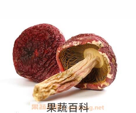红菇