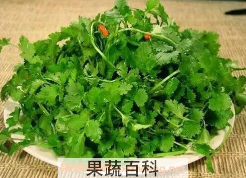 香菜的营养价值与功效