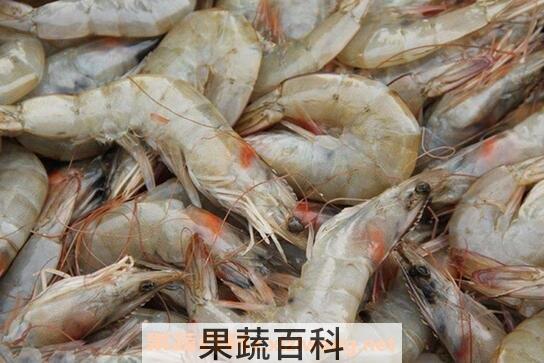 海虾的营养价值与功效