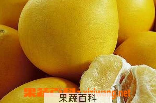 果蔬百科感冒发烧吃什么水果