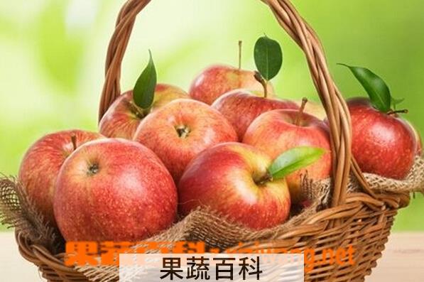 果蔬百科消化不良吃什么水果