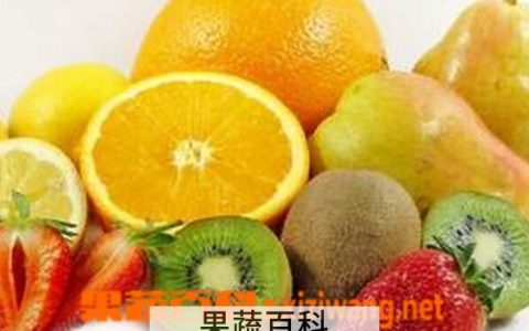 冬天吃什么水果好? 冬天吃什么水果好 有益身体健康