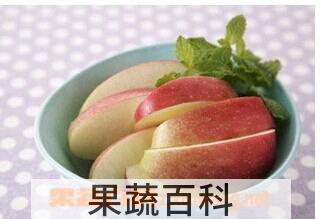 果蔬百科煮熟的苹果