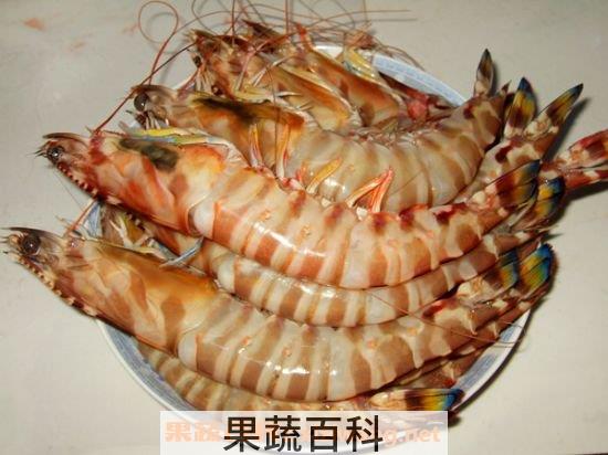 斑节虾