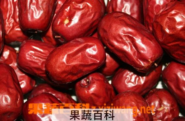 果蔬百科大枣