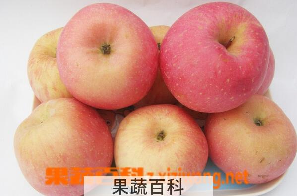 果蔬百科空腹吃苹果好吗