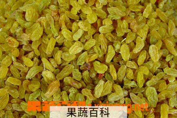 果蔬百科葡萄干