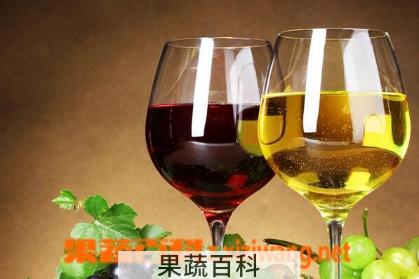 果蔬百科葡萄酒