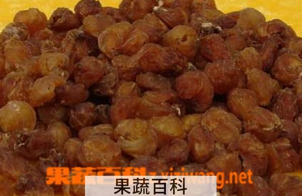 果蔬百科龙眼肉