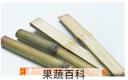 果蔬百科甘蔗的