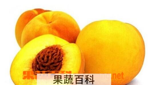 果蔬百科黄桃