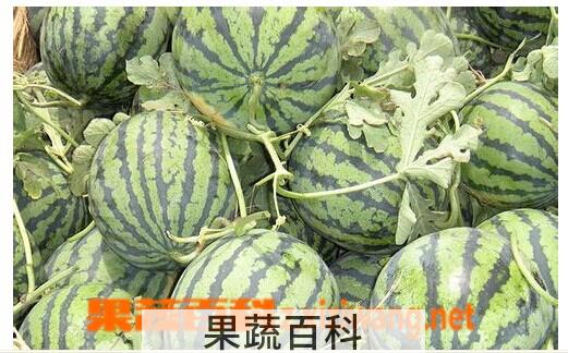 果蔬百科如何挑选好西瓜