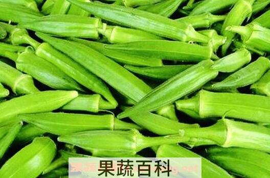  秋葵的营养价值