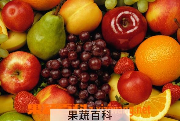 果蔬百科水果类食物相克大全