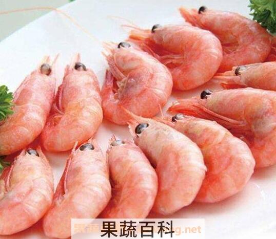 冰虾