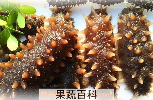 海参泡发以后怎么保存