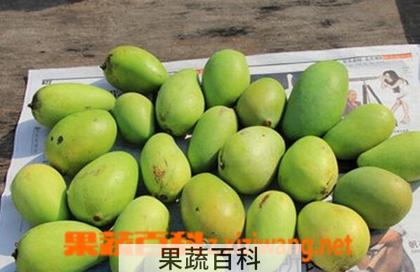 果蔬百科催熟青芒果
