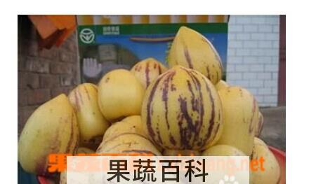 果蔬百科人参果