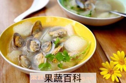 冬瓜蛤蜊汤的做法与功效