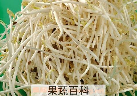 绿豆芽的功效与作用