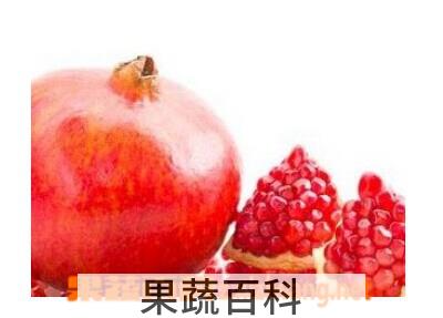 果蔬百科石榴