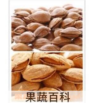 果蔬百科巴旦木和杏仁