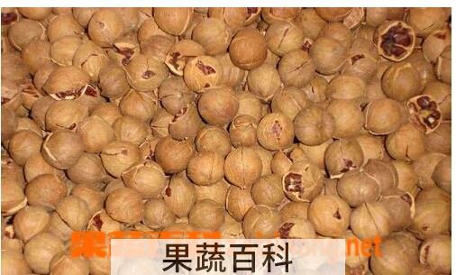 果蔬百科山核桃