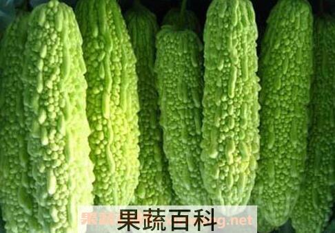 苦瓜怎么做好吃