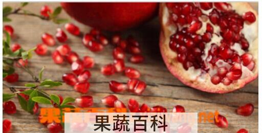 果蔬百科石榴