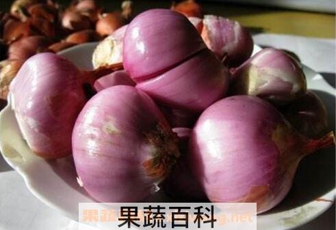 毛葱的功效与作用