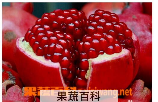 果蔬百科石榴