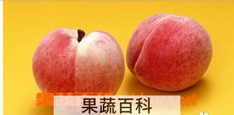 果蔬百科桃子