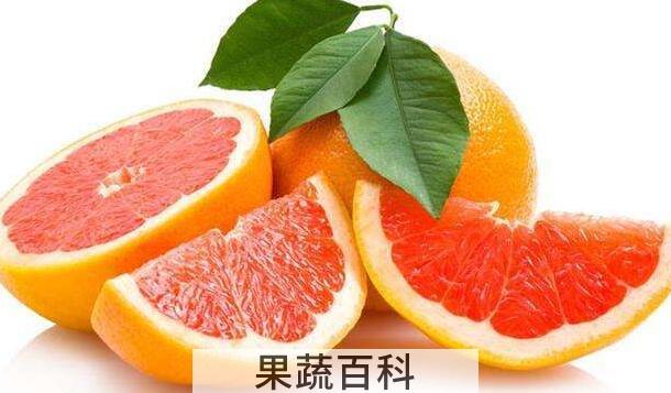 什么是葡萄柚，葡萄柚与柚子的区别