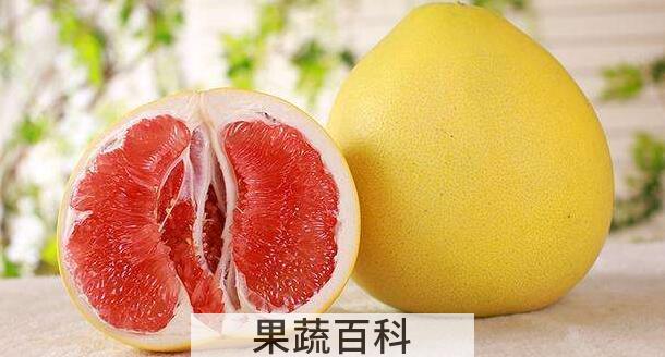 什么是葡萄柚，葡萄柚与柚子的区别