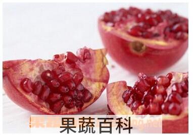 果蔬百科石榴