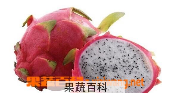 果蔬百科吃火龙果